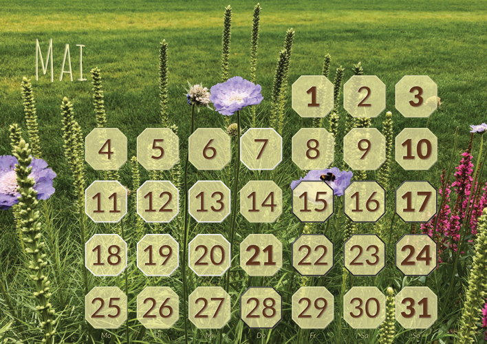Spiele-Kalender 2020 Mai: Sieben in einer Reihe